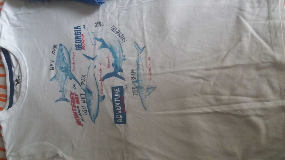 tchirts para rapaz de 12/13 anos