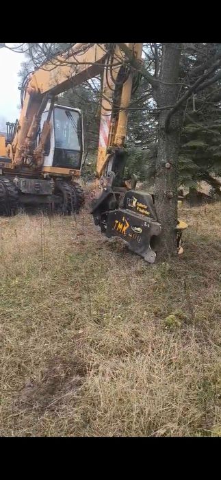 Profesjonalna wycinka drzew i czyszczenie działek oraz sadów