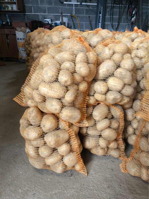 Ziemniaki soraja 15 kg