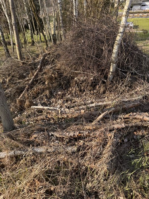 Oddam galezie i drewno!