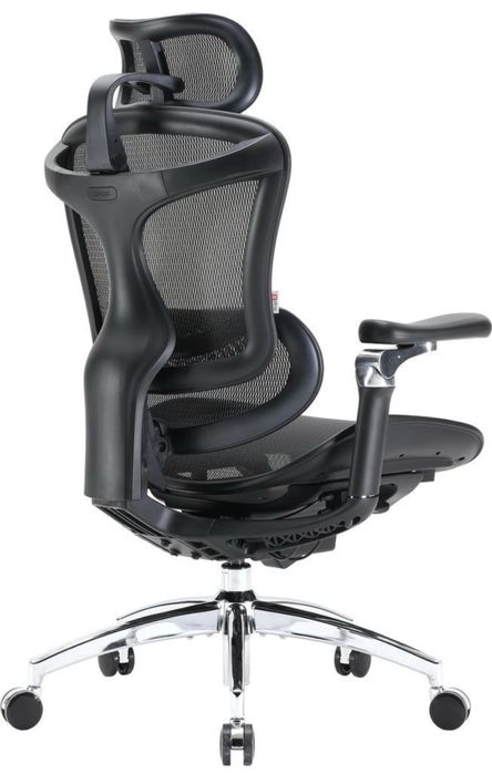 Крісло Sihoo Doro C300 Pro Black