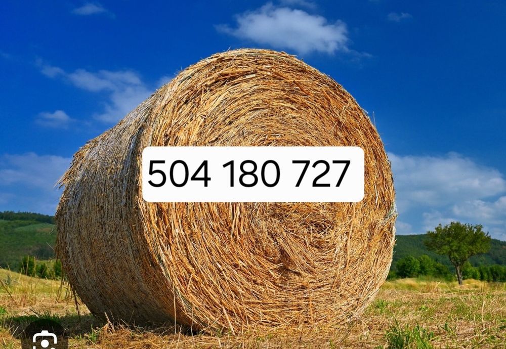 Sprzedam bele siana i słomy,ze stodoły. Siano-120zł ,Słoma-75zł .