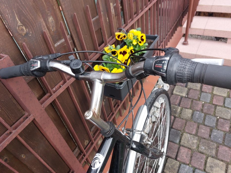 Rower Falcon szosowy