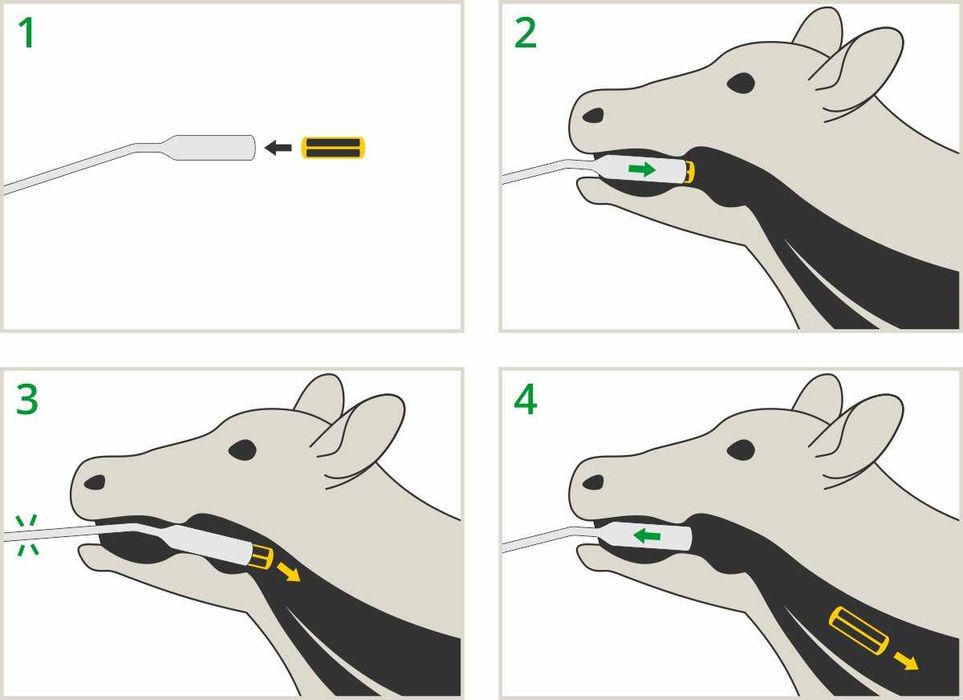 Aplikator magnesów i bolusów,stal nierdzewna, Kerbl+Magnes