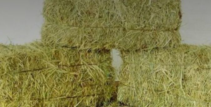 Продам сіно в тюеах