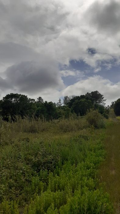 Vendo terreno Zona Azambuja