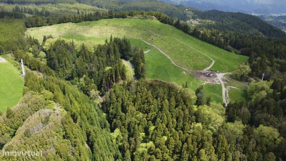 Terreno Rústico com 6,8 Hectares e Rendimento Imediato – Ponta Garça