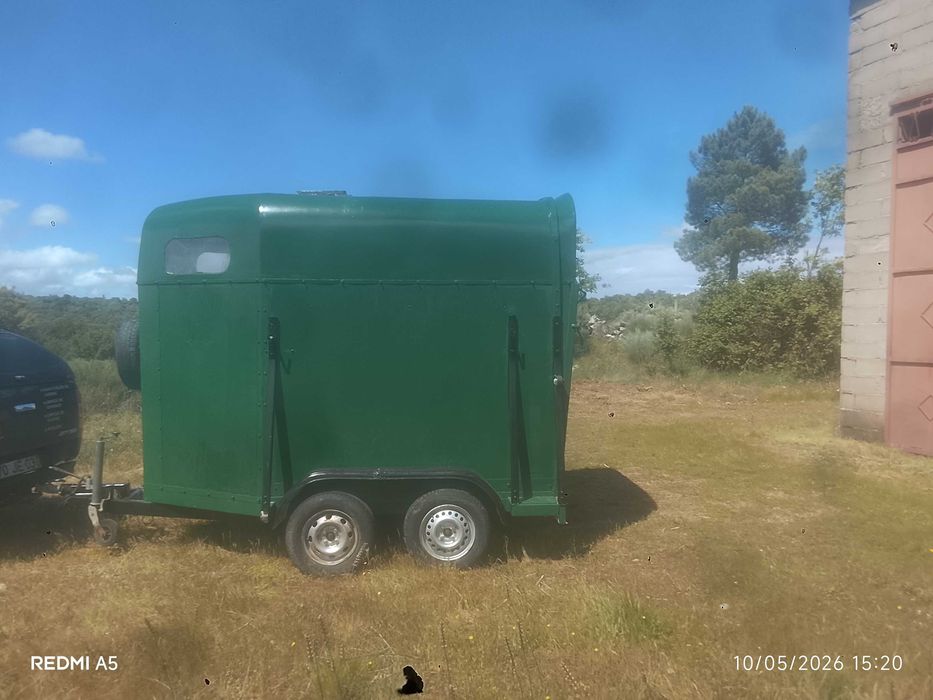 Rolote 2 cavalos