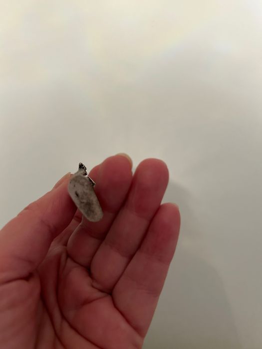 Ryycerz magnes na lodówkę lub tablicę z Heidelbergu w Niemczech