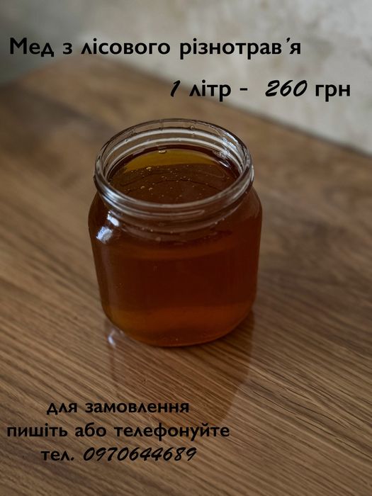 Продам мед з лісового різнотравʼя