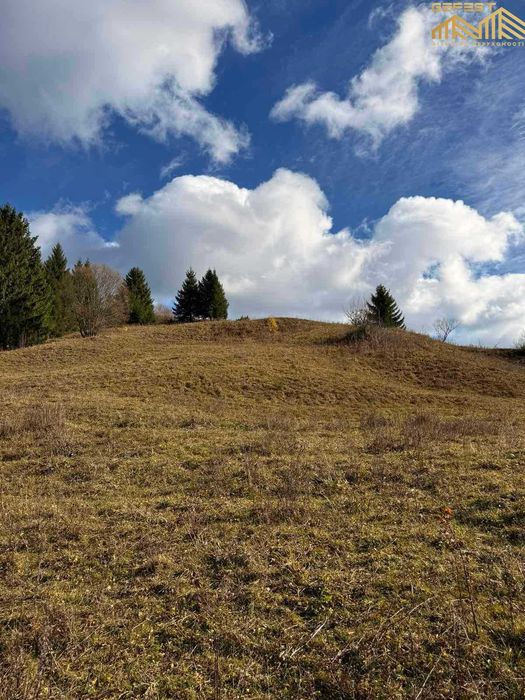 Верховина. 74сотих. Нерухомість. Земля. Карпати. Верховинський район