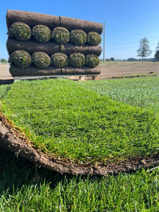 *** Trawa z rolki, Najlepsza Jakość PREMIUM, transport tir/HDS/kurier z rozładunkiem ***