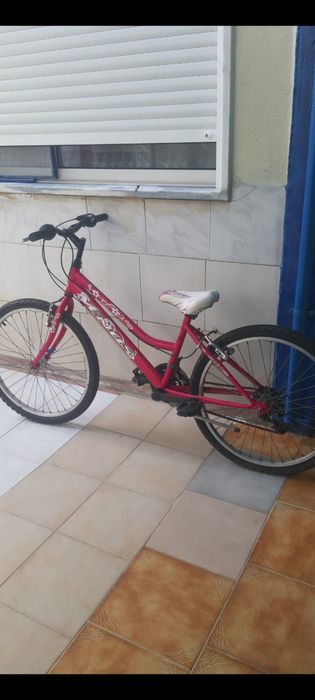 Bicicleta feminina
