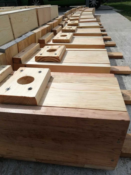 Budki lęgowe dla ptaków