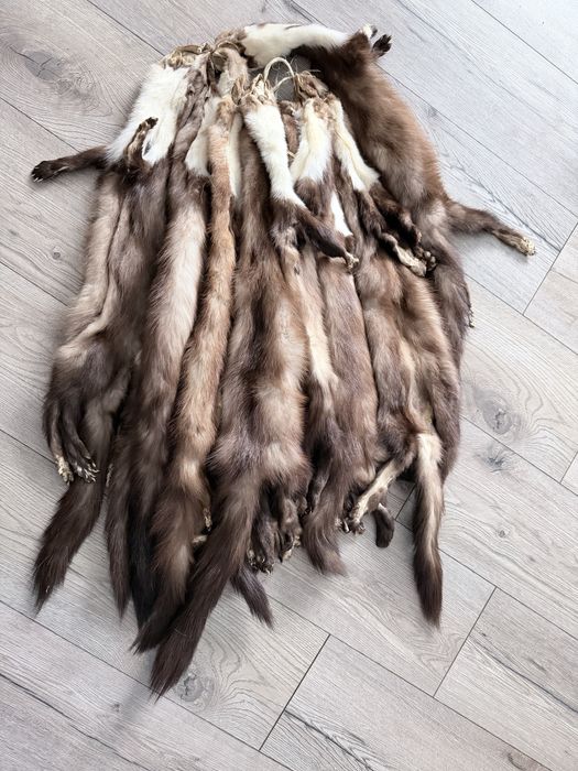 14 sztuk skóra skórka z całej kuny kuna  vintage futro naturalne