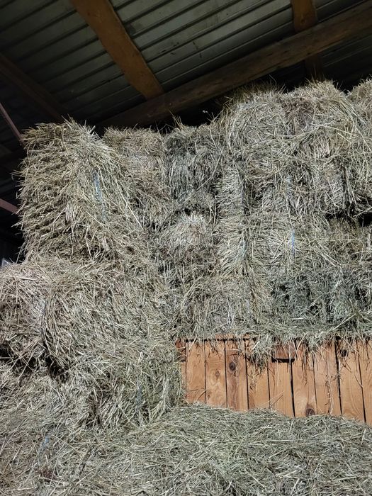 Продам  СЕНО  разнотравье с  ПОЛЯ