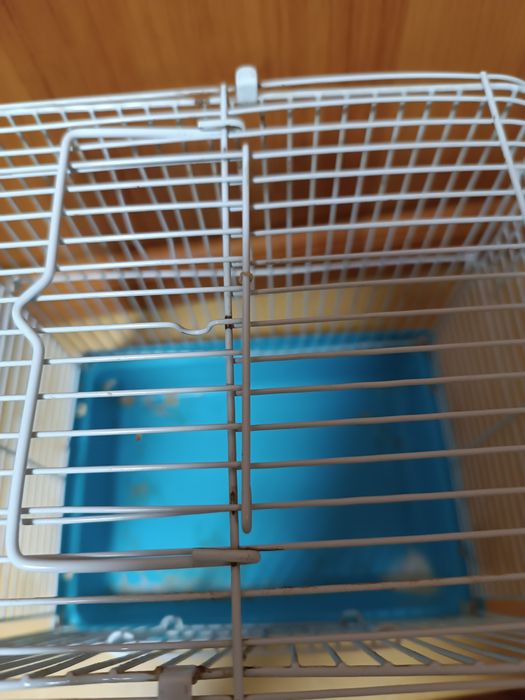 Клетка для грызунов и птиц.