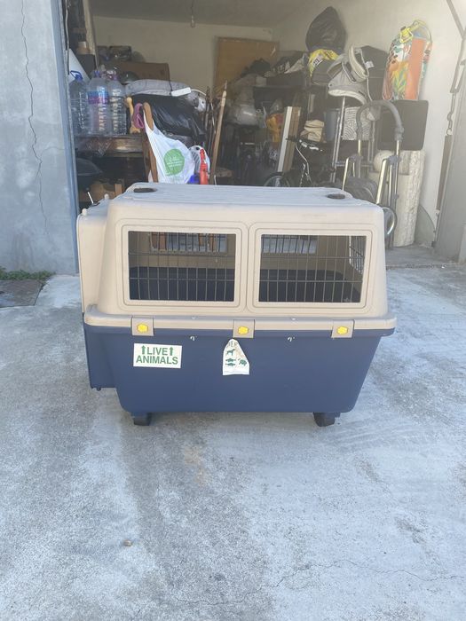 Casa transportadora para caes