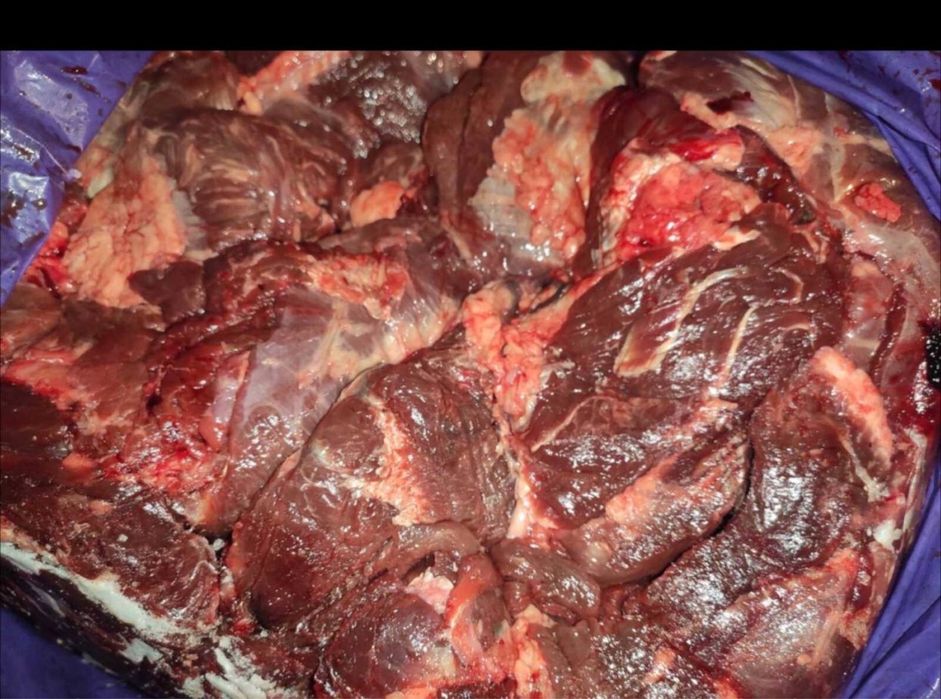 Мясо для собак  та інших тварин