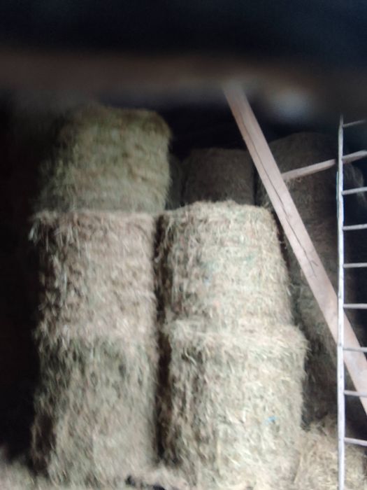 Siano i słoma z 2025r