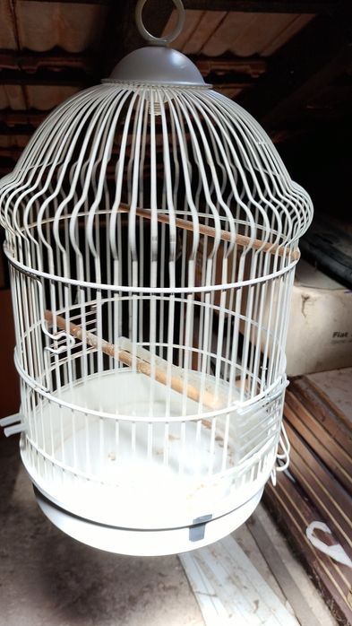 Gaiolas para canários piriquitos