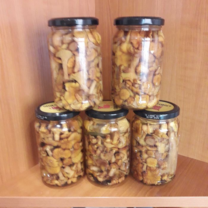 Grzyby marynowane kurki