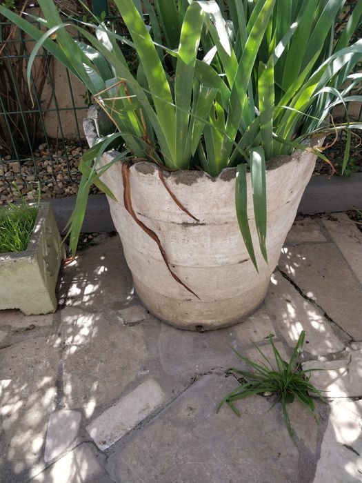 Vasos de cimento e barro grandes