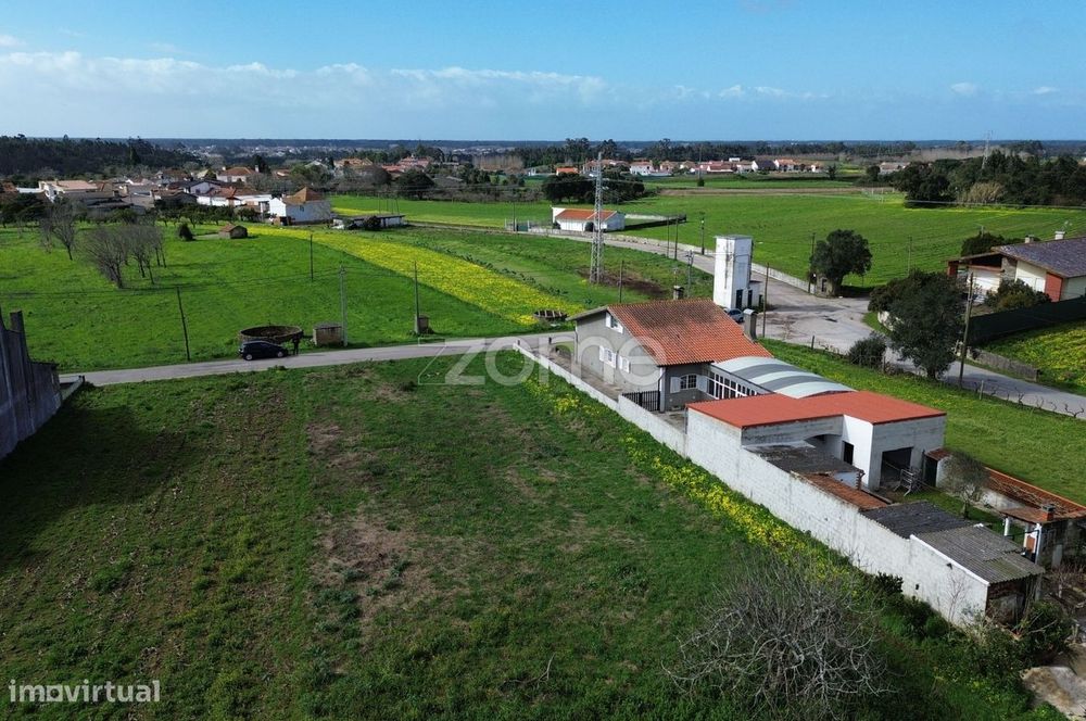 Terreno para moradia isolada ou 2 moradias geminadas_1900m2_Vagos