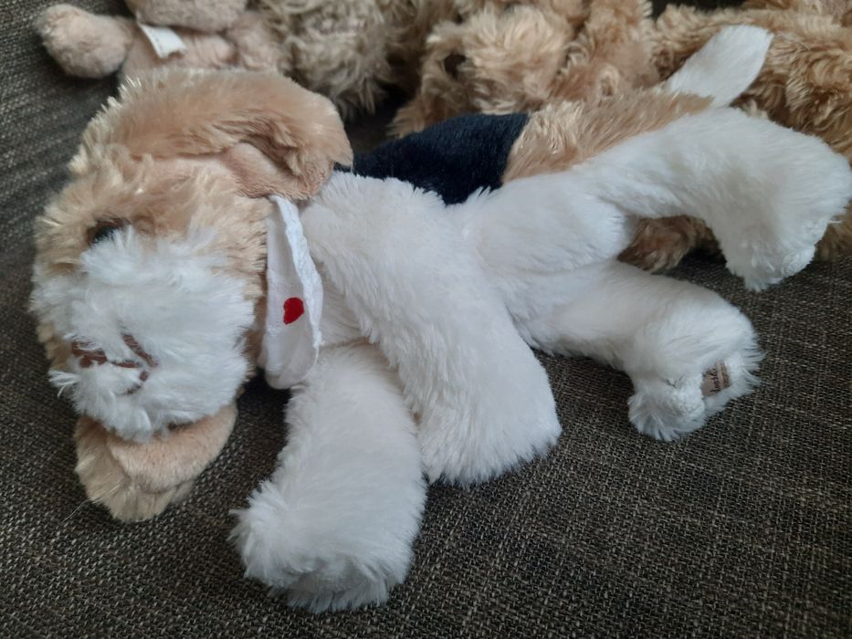 Maskotki Bukowski - misie, pieski