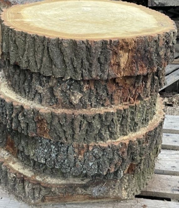 Plastry drewna, dąb, brzoza itp.