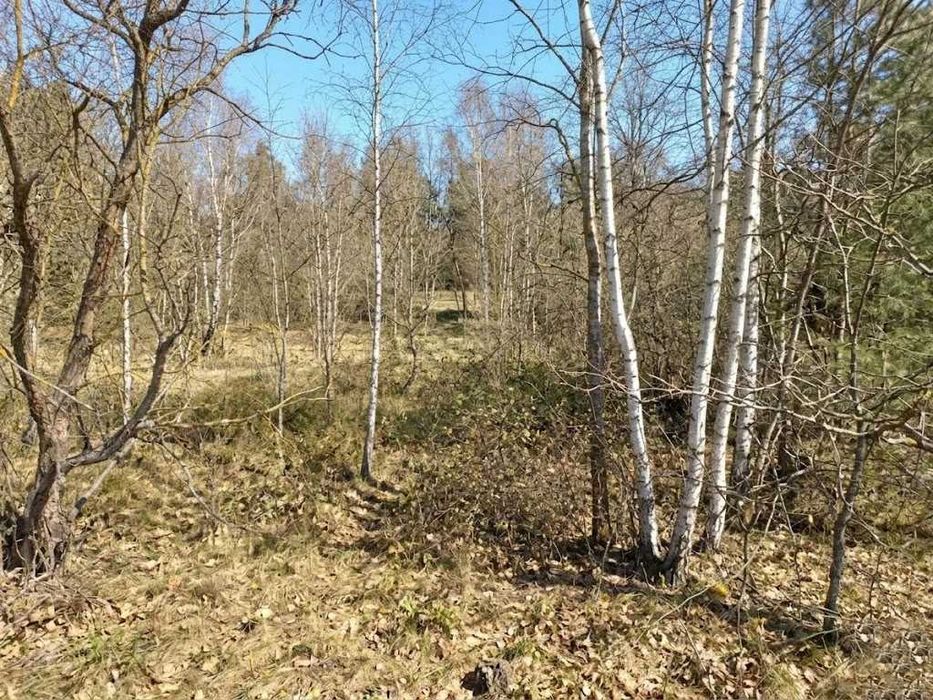 Продаж ділянки 10сот під дачну забудову. Фасад-25м. с.Улянівка. ID:745