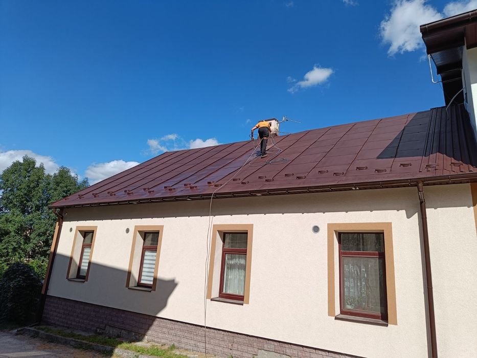 Фарбування дахів