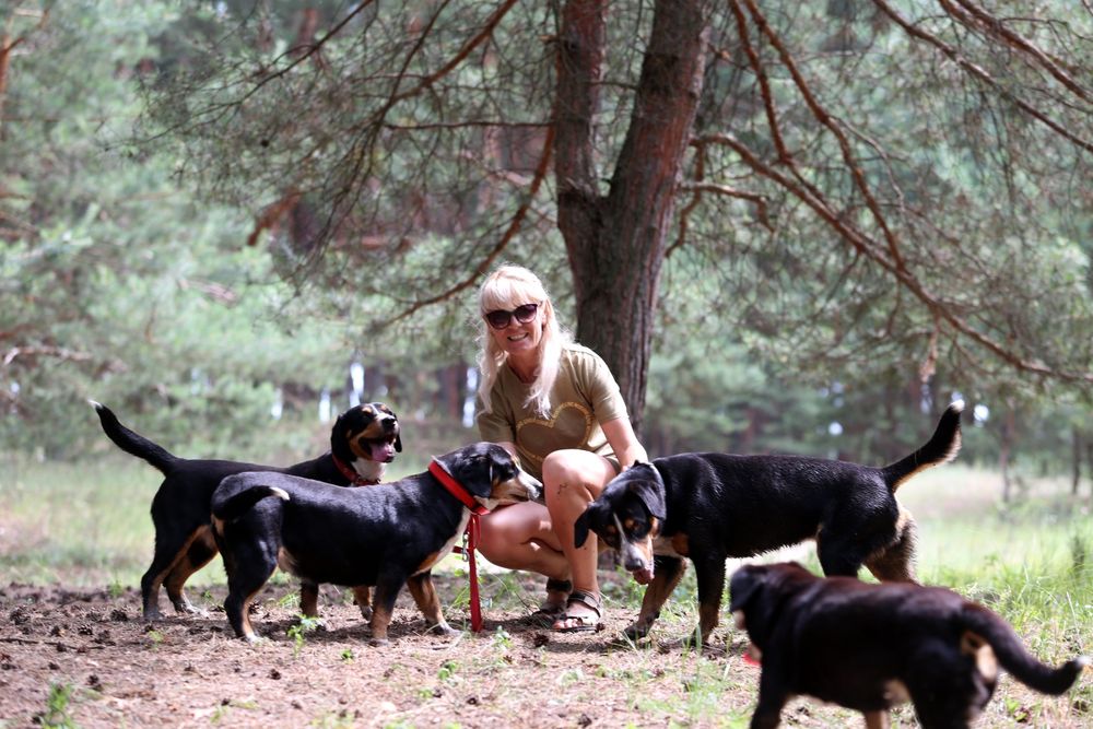 Ентлебухер зенненхунд  ODYSSEUS Энтлебухер зенненхунд!