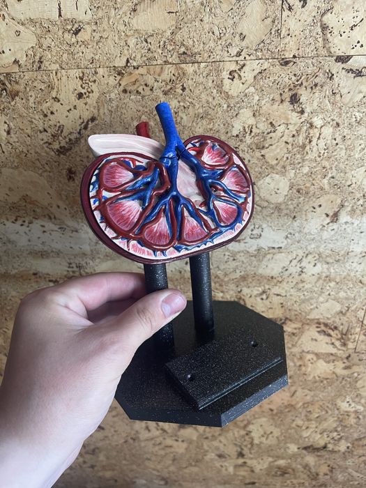 3D-друк, 3D-сканування, моделювання, виготовлення молдів