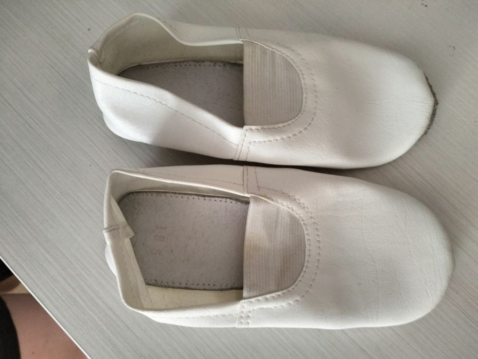 Чешки 18.5 замінника