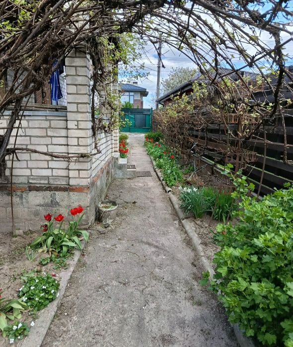 Будинок з ремонтом 116м2 19 соток