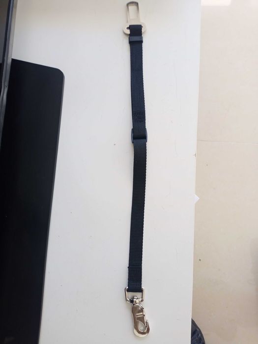 Cinto de segurança para cão