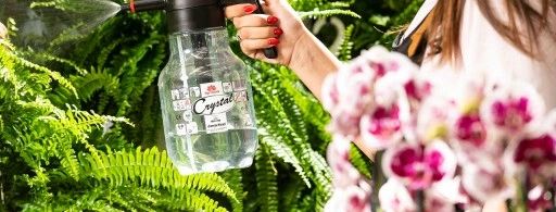 opryskiwacz ciśnieniowy ręczny 2 l transparent