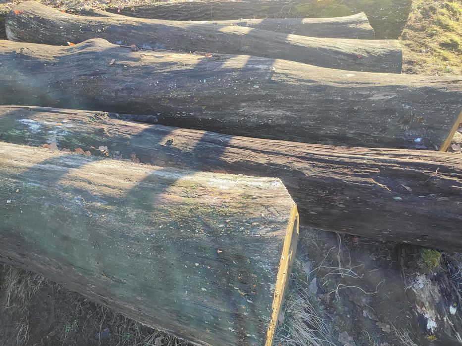 Кругляк дуба, пиломатеріали.