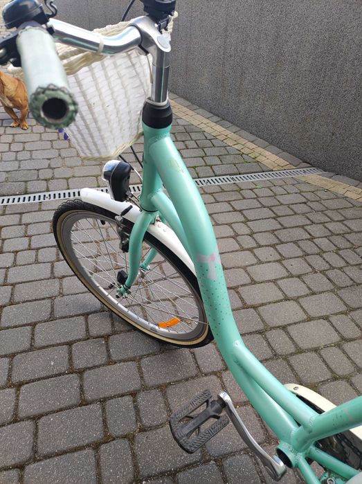 Rower Storm dla dziewczynki