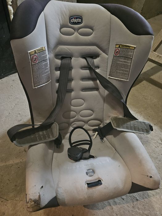 Стульчик Chico .