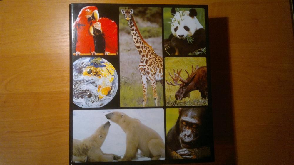 Английский язык, обучение + электронный переводчик