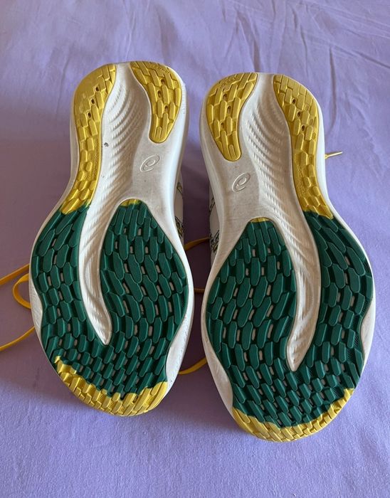 Asics Nimbus Mirai 42.5