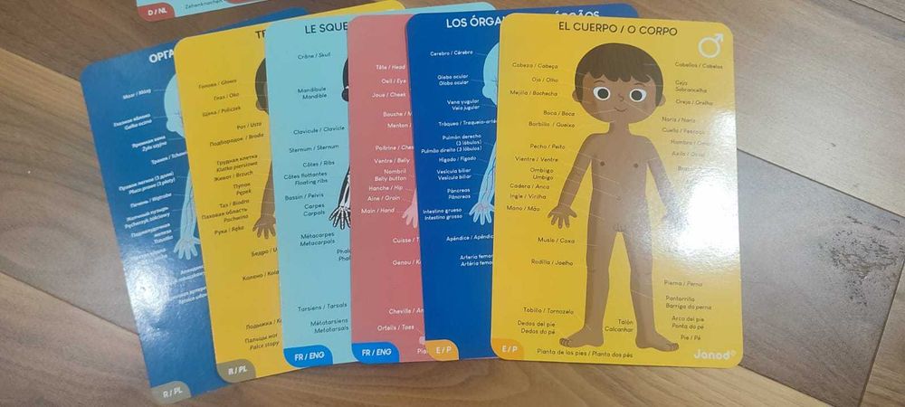 4 Puzzles com 1 metro  - Corpo Humano