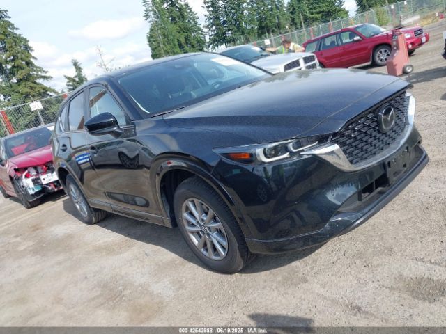 business-site-gallery-photo