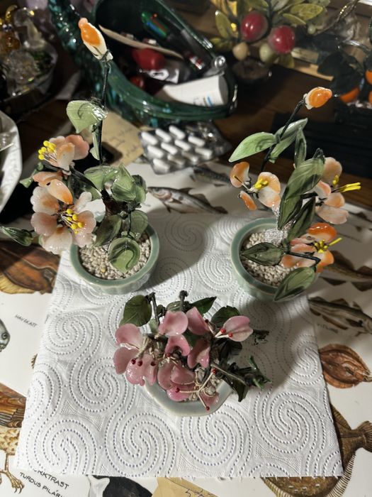 Ozdobne drzewka bonsai