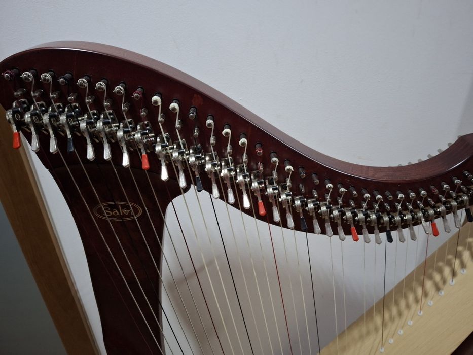 Vendo harpa Salvi modelo Mia