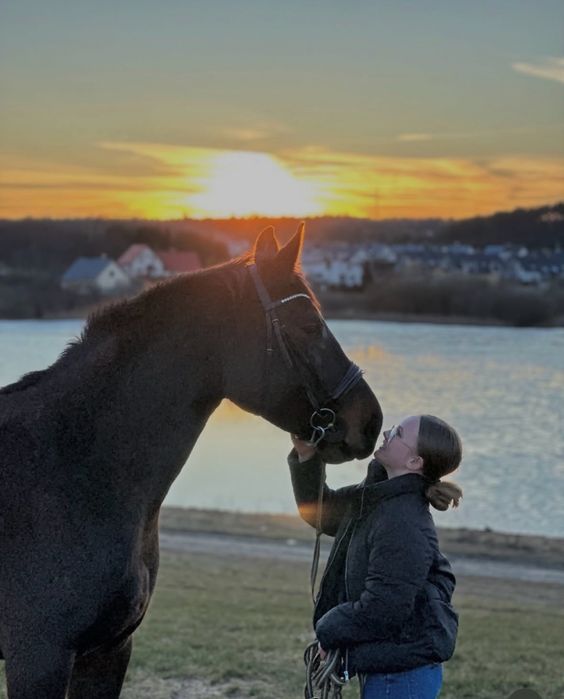 Loxy R  Cudowna Klacz