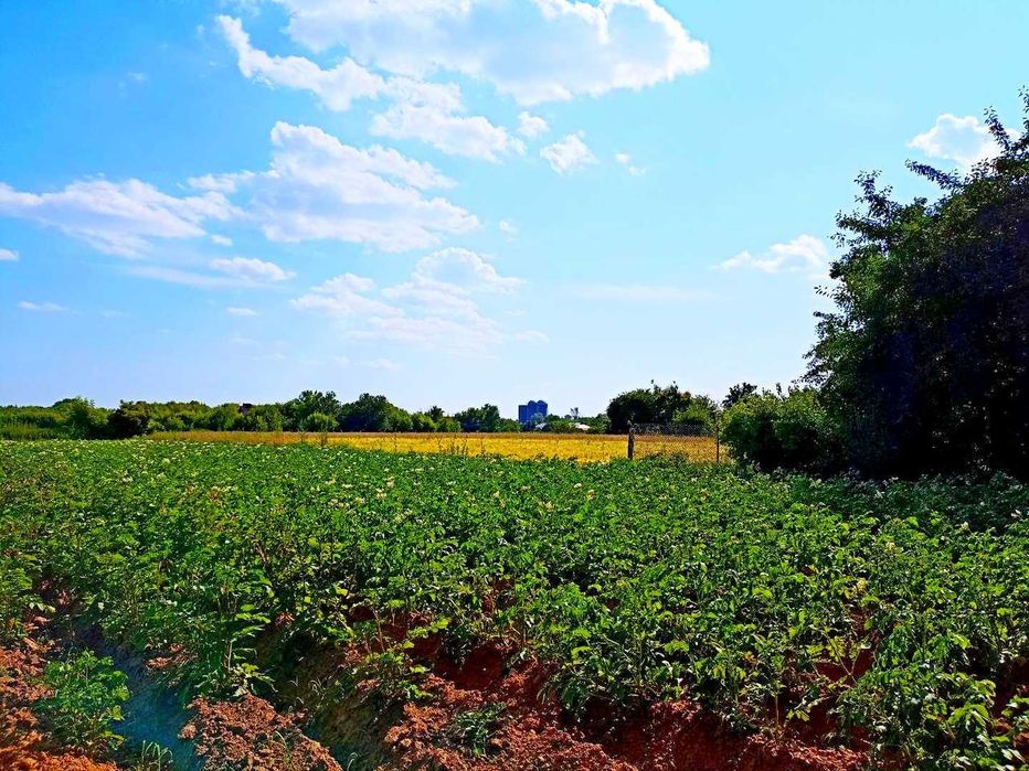 TO Хата у стародавньому селі Виблі
