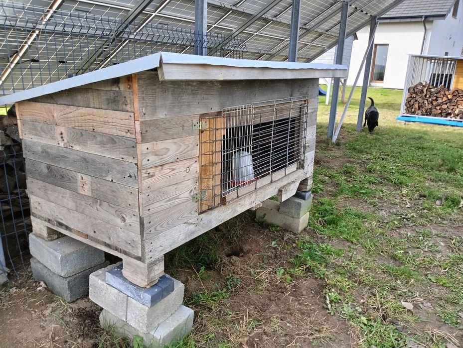 Kurnik, klatka dla królika, kur
